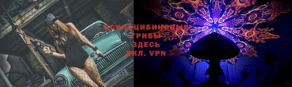 молекула духа Армянск