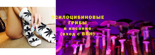 молекула духа Армянск