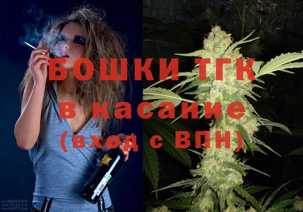 сатива Арсеньев