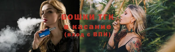 сатива Арсеньев