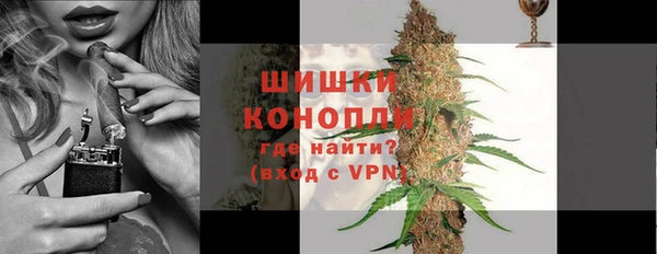 сатива Арсеньев