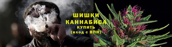 сатива Арсеньев