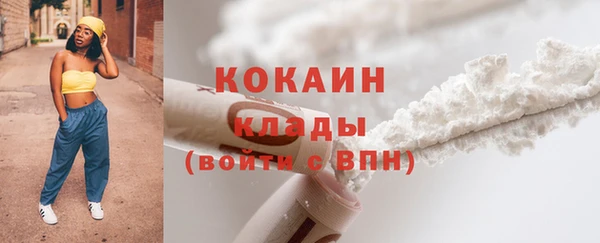 сатива Арсеньев
