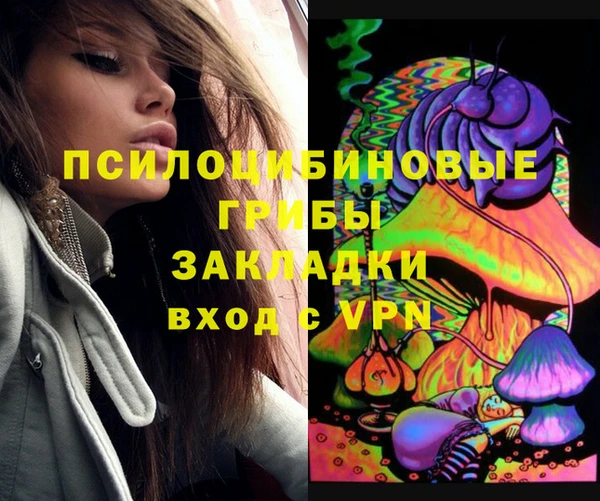 молекула духа Армянск