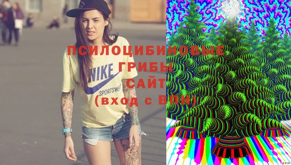 молекула духа Армянск