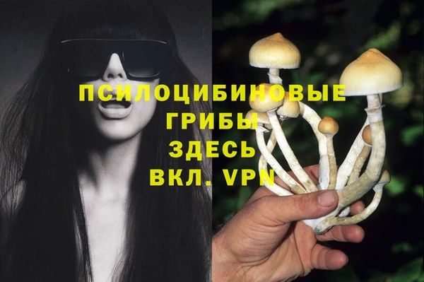 сатива Арсеньев