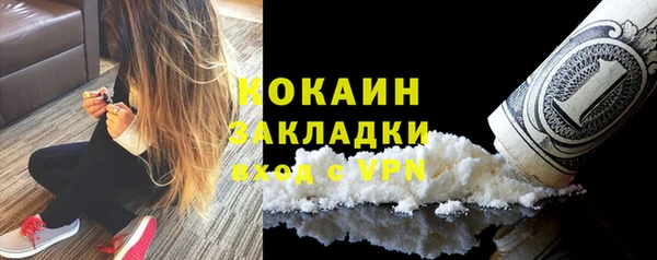 сатива Арсеньев