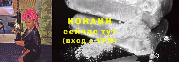 сатива Арсеньев
