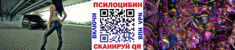Псилоцибиновые грибы GOLDEN TEACHER  дарк нет официальный сайт  Майкоп  блэк спрут вход 