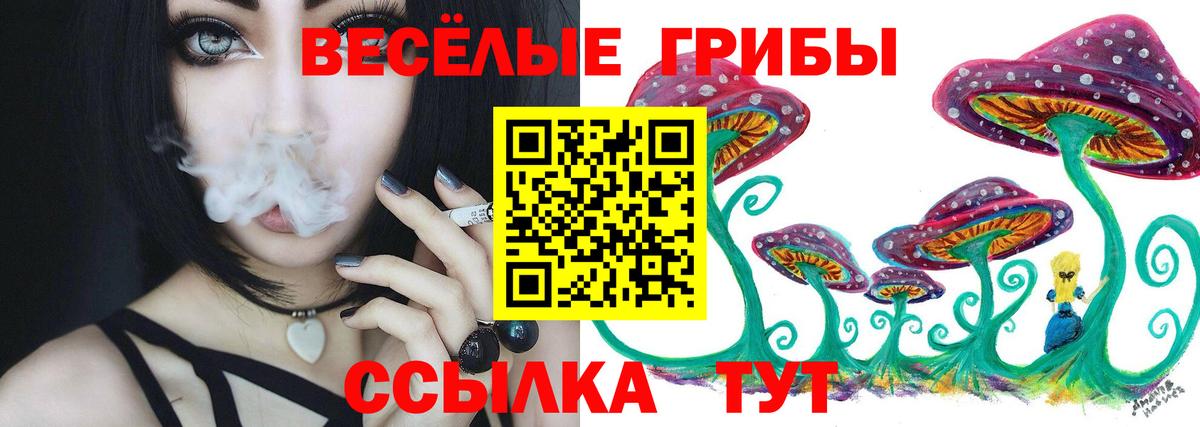Майкоп  Галлюциногенные грибы мицелий  Вход с VPN  сколько стоит  Галлюциногенные грибы прущие грибы 